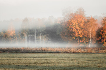 Jesienne mgły © Magdalena
