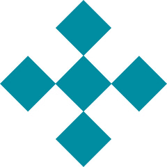 Obraz premium Ornament vector element