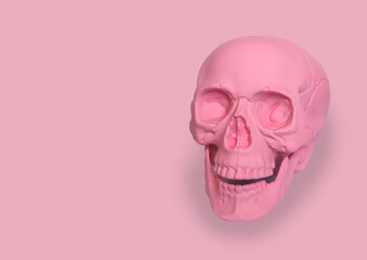 pastel pink skull with a pink background halloween concept