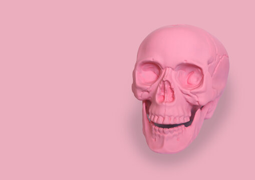 Pastel Pink Skull With A Pink Background Halloween Concept