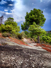 Sendero entre granito y pinos