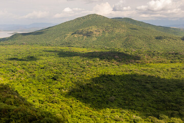 Obraz premium Aerial view of Nechisar National Park, Ethiopia