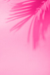 Palm leaf shadow on Barbie pink tones background. Minimal summer exotic concept with copy space