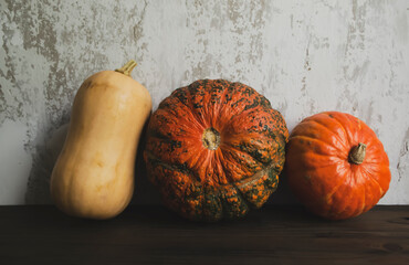 Three pumpkins on the background of an old wall. Autumn decorations - three decorative pumpkins...