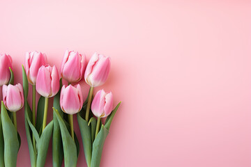 Pin tulips on a pink  background, place for a text 