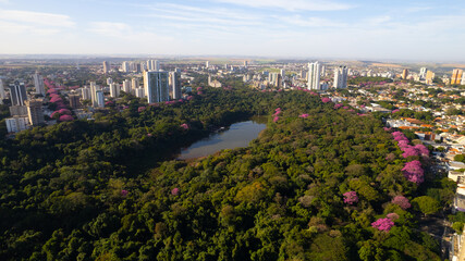 Maringá, vista aérea da cidade de maringá, paraná, brasil. Catedral de Maringá, Parque do Ingá.