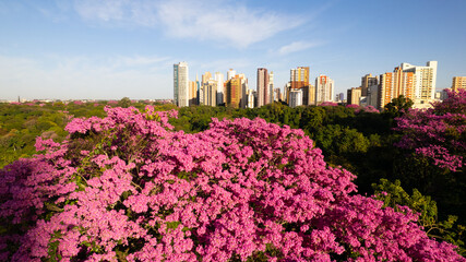 Maringá, vista aérea da cidade de maringá, paraná, brasil. Catedral de Maringá, Parque do Ingá.