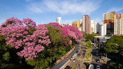 Maringá, vista aérea da cidade de maringá, paraná, brasil. Catedral de Maringá, Parque do Ingá.