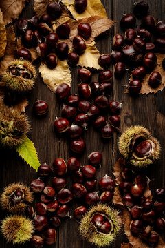Top view of fresh chestnuts