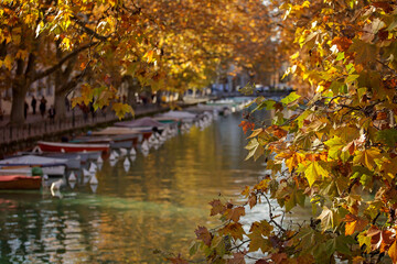 Picturesque Annecy canal with autumnal yellow trees, boats, and a distant bridge. Tourists stroll, embracing the serene beauty and vibrant fall atmosphere of this French city