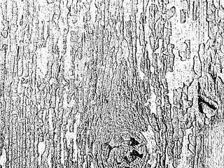 Fototapeta premium A vintage grunge background with cracked and weathered paint on a wooden surface. A unique texture for creative design projects. Vector illustration 