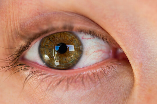 Hazel eye close up brown above blue - Powered by Adobe
