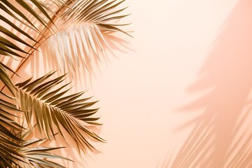 Fototapeta na wymiar Tropical palm leaves with shadows on background.