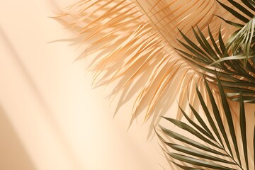 Tropical palm leaves with shadows on background.