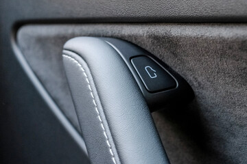 Car Interior Door Handle and Button
