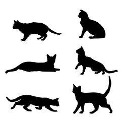 Vector illustration of silhouette of Cats in various poses.
