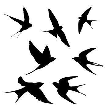 Vector illustration of Collection of flying birds silhouette in various poses and shapes.
