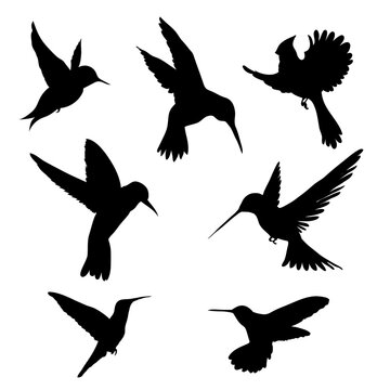 Vector illustration of Collection of flying birds silhouette in various poses and shapes.
