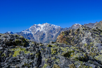 Parete Est del Monte Rosa 4634 mslm