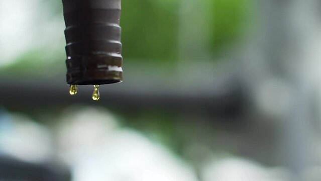 Refined pure biodiesel fluid is dripping pipes into the oil reservoir