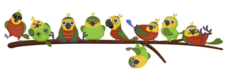 Collection of parrot, set of exotic animals. Ara, parakeet, cockatoo. Colorful wing and feather. Sitting on branch. Summer jungle bird. Red, green and yellow color. Vector illustration