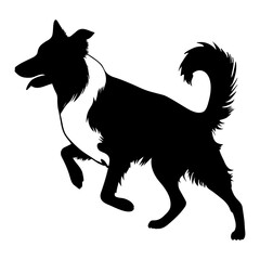 Border Collie dog silhouette icon symbol. Vector illustration