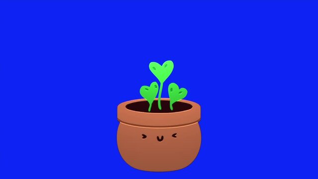 Animation loop video cartoon a flower pot with leaves growing on blue screen background ,remove blue screen background on your video editing software