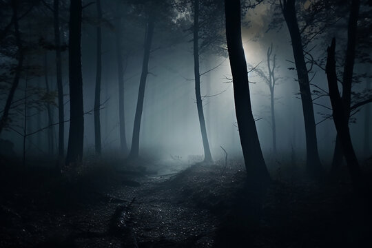 foggy and dark woods at night, mystery forest. Magical saturated foggy forest trees landscape. Generative AI