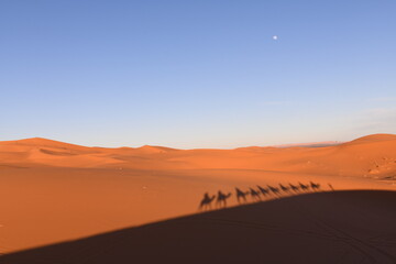 Fototapeta na wymiar Shadows in the sand of people on a camel through the Sahara desert. Erg Chebbi Merzouga Morocco