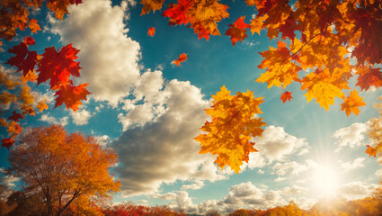 Obraz na płótnie Canvas beautiful sky, clouds, autumn, sunlight, colored autumn leaves