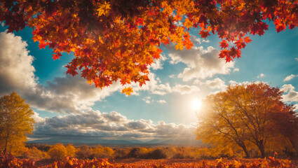 beautiful sky, clouds, autumn, sunlight, colored autumn leaves
