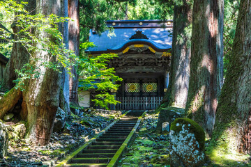 福井 夏の木漏れ日と緑の苔に彩られた永平寺の唐門
