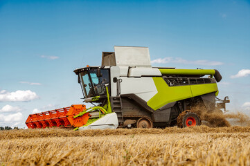 Fototapeta premium Agriculture field with heavy machinery ready to hrvest during harvesting season in the end of summer