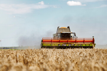 Fototapeta premium Agriculture field with heavy machinery ready to hrvest during harvesting season in the end of summer
