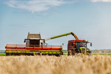 Obraz premium Agriculture field with heavy machinery ready to hrvest during harvesting season in the end of summer