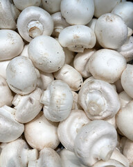 mushrooms champignon harvest background top view