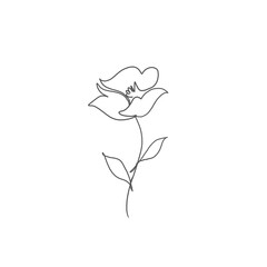 Flower illustration in line art style. Flower in the garden. Folwer in the garden in black and white illustration. Fower illustration for background.	