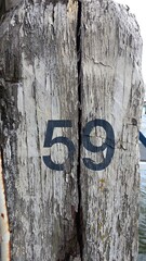 Brauner morscher und alter Holzpfahl im Hafen mit der Nummer 59 in schwarzer Schrift