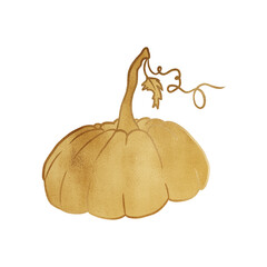 Fototapeta premium Luxurious Golden Pumpkin