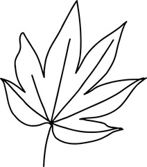 doodle freehand sketch drawing of maple leaf.