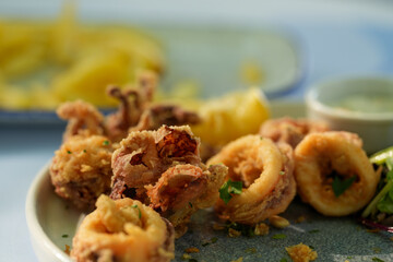 squids. fried calamari. seafood cooked and served at a restaurant. detail.