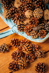 beautiful blue basket with pine cones on wooden table, very decorative and used in autumn, winter and Christmas