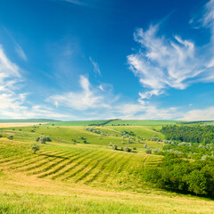 Fototapeta na wymiar Green meadow and blue sky.