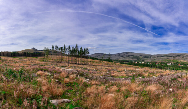 Wurmberg und Brocken Panoramablick