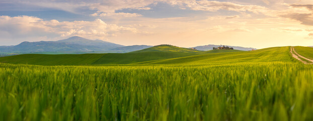 Fototapeta na wymiar Green landscape hills in Tuscany, Italy