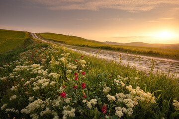Fototapeta premium Spring landscape with pathway in the hills of Val d'Orcia