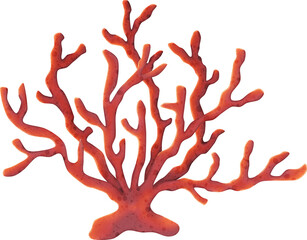 Obraz premium Coral Reef Illustration