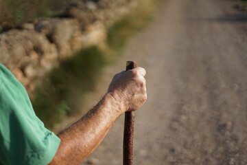 Men's hands with wooden hiking pole