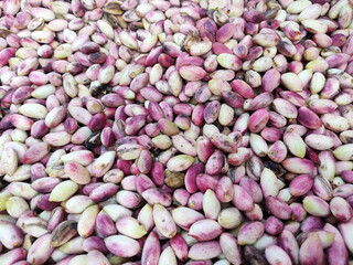 Raw fresh pink and white pistachios in a soft shell