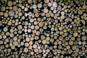 Firewood prepared for the winter and stacked to dry in the forest